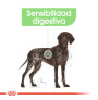 Royal canin maxi digestive care para perros Royal canin maxi digestive care para perros