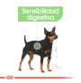 Royal canin mini digestive care para perros Royal canin mini digestive care para perros
