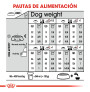 Royal canin mini digestive care para perros Royal canin mini digestive care para perros