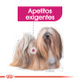 Royal canin mini exigent para perros Royal canin mini exigent para perros