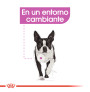 Royal canin mini relax care para cachorros Royal canin mini relax care para cachorros