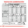 Royal canin mini sterilised para perros esterilizados Royal canin mini sterilised para perros esterilizados