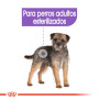 Royal canin mini sterilised para perros esterilizados Royal canin mini sterilised para perros esterilizados