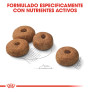 Royal canin maxi sterilised para perros esterilizados Royal canin maxi sterilised para perros esterilizados