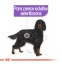 Royal canin maxi sterilised para perros esterilizados Royal canin maxi sterilised para perros esterilizados