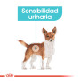 Royal canin mini urinary care para perros Royal canin mini urinary care para perros