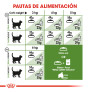 Royal canin outdoor para gatos