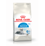 Royal canin indoor +7 para gatos