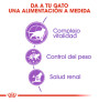 Royal canin sterilised +7 para gatos