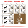 Royal canin sterilised +12 para gatos