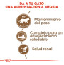 Royal canin sterilised +12 para gatos
