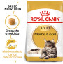 Royal canin maine coon Royal canin maine coon