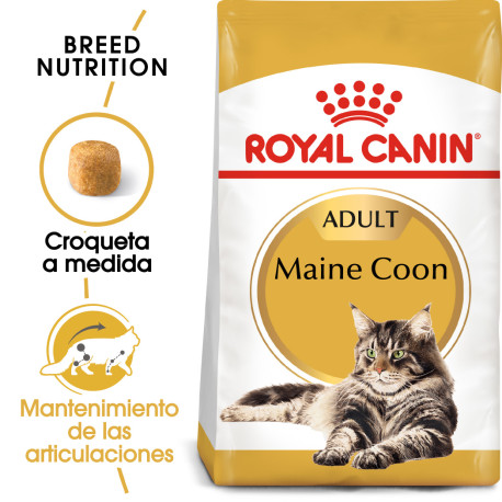 Royal canin maine coon Royal canin maine coon