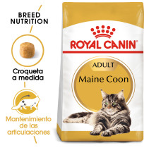 Royal canin maine coon