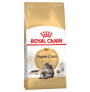 Royal canin maine coon Royal canin maine coon
