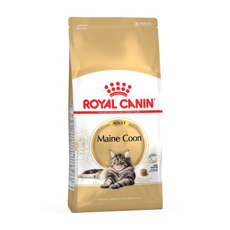 Royal canin maine coon