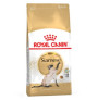 Royal canin siamese