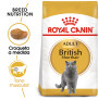 Royal canin british shorthair