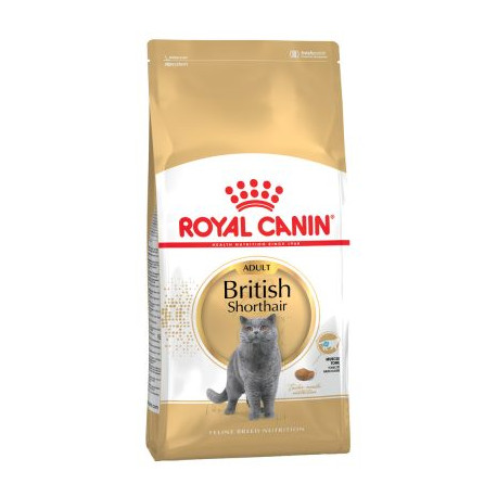 Royal canin british shorthair