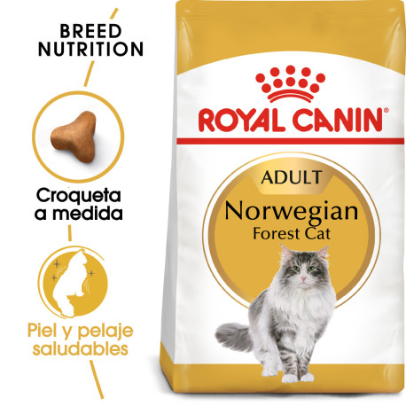 Royal canin norwegian forest gatos Royal canin norwegian forest gatos