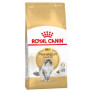 Royal canin norwegian forest gatos