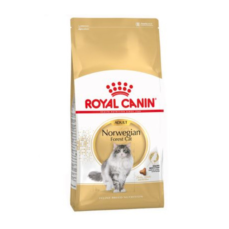 Royal canin norwegian forest gatos