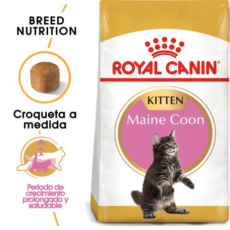 Royal canin kitten maine coon Royal canin kitten maine coon