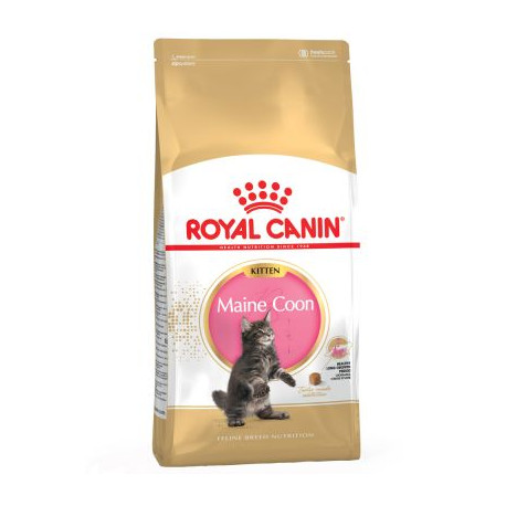 Royal canin kitten maine coon