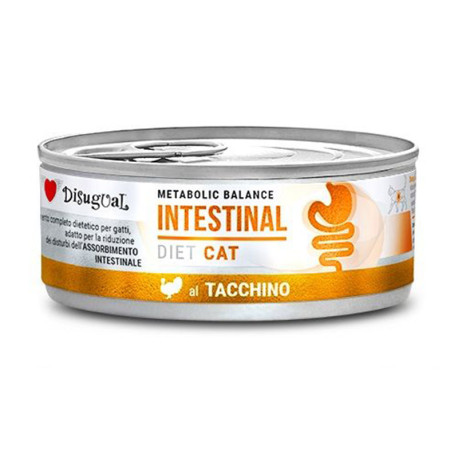 Disugual cat intestinal pavo latas para gatos