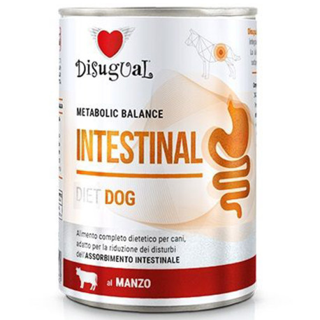 Disugual intestinal buey latas para perros