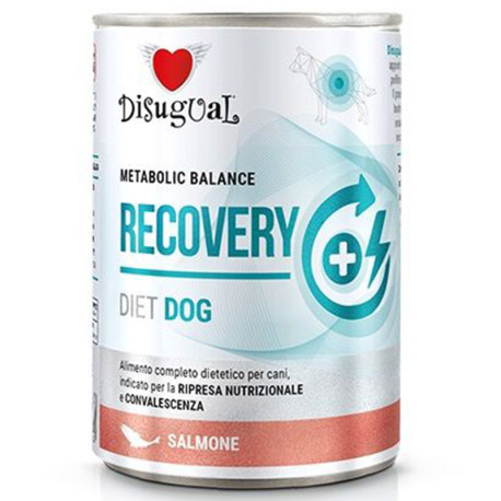 Disugual recovery salmón latas para recuperación de perros