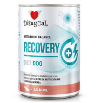 Disugual recovery salmón latas para recuperación de perros