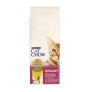 Cat chow uth control tracto urinario para gatos en 15Kg