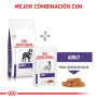 Royal canin adult large dog para perros Royal canin adult large dog para perros