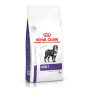 Royal canin adult large dog para perros Royal canin adult large dog para perros