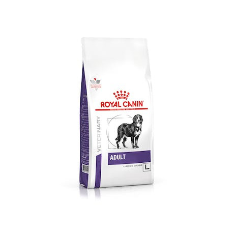 Royal canin adult large dog para perros