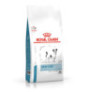 Royal canin skin care adult small dog para perros mini Royal canin skin care adult small dog para perros mini