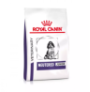 Royal canin neutered junior medium dog para cachorros Royal canin neutered junior medium dog para cachorros
