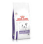 Royal canin mature small dog para perros mini Royal canin mature small dog para perros mini