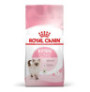 Royal canin kitten para gatitos
