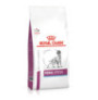 Royal canin canine renal special para perros Royal canin canine renal special para perros