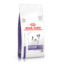 Royal canin canine dental special small dog para perros mini Royal canin canine dental special small dog para perros mini