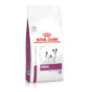 Royal canin renal small dog para perros mini Royal canin renal small dog para perros mini