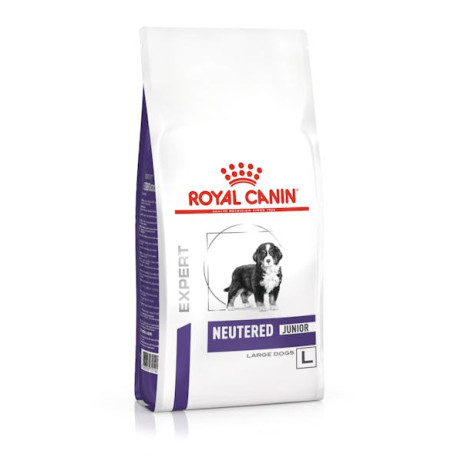 Royal canin neutered junior large dog perros cachorros