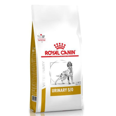 Royal canin urinary s/o para perros