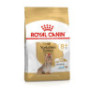 Royal canin yorkshire adult +8