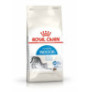 Royal canin indoor para gatos