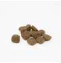 Muestra de las croquetas del pienso Summit 10 whole choice puppy para cachorros