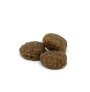 muestra de las croquetas del pienso Summit 10 puppy all breeds chicken & rice para cachorros