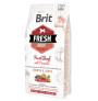 Brit fresh beef & pumpkin puppy large para cachorros raza grande Brit fresh beef & pumpkin puppy large para cachorros raza grande